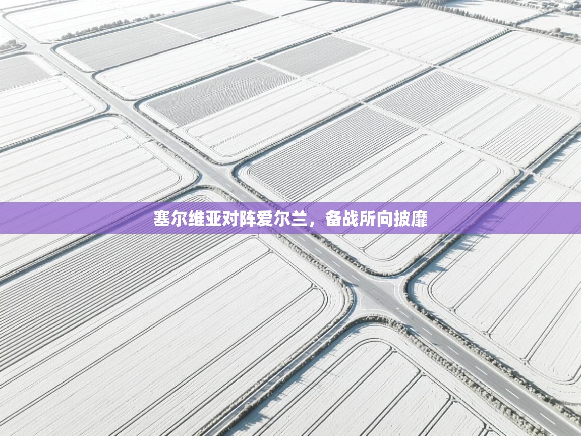 塞尔维亚对阵爱尔兰，备战所向披靡  第1张