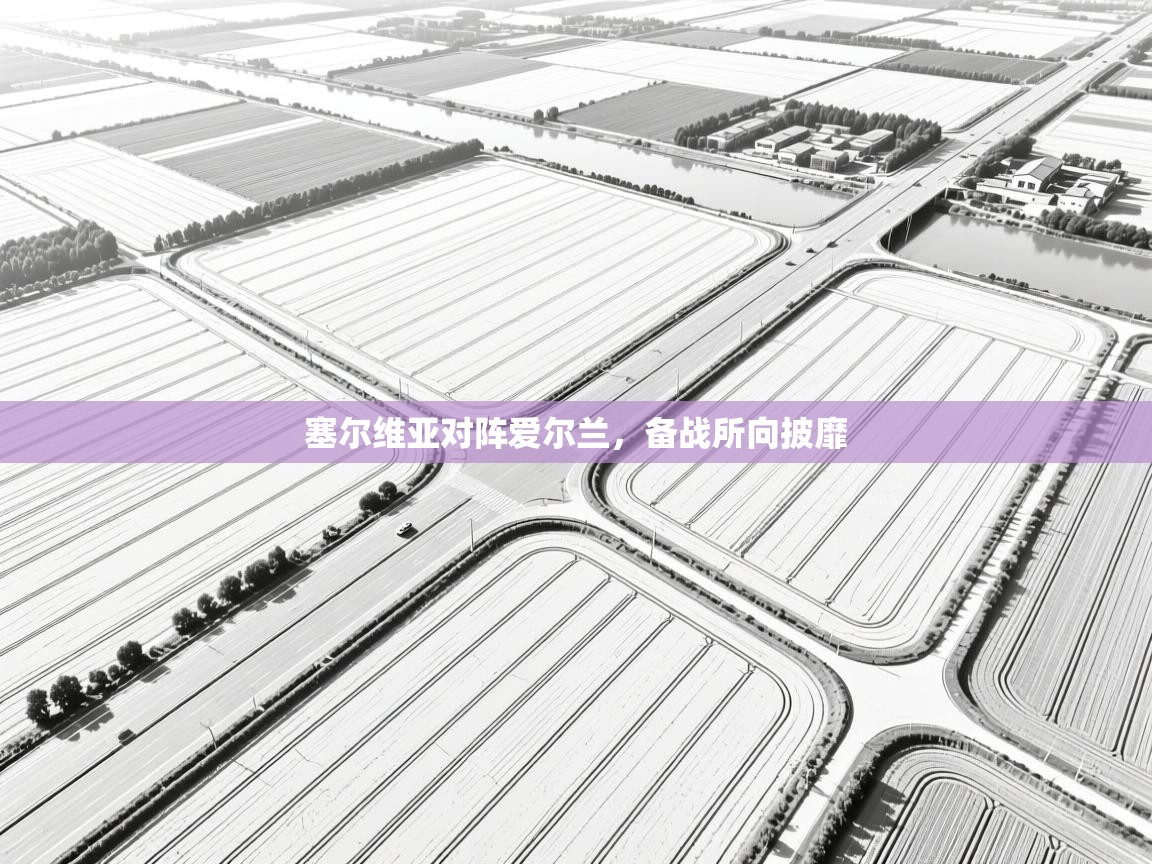 塞尔维亚对阵爱尔兰，备战所向披靡  第2张