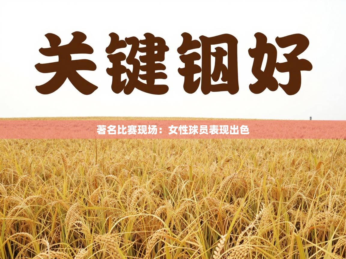著名比赛现场:女性球员表现出色 第1张