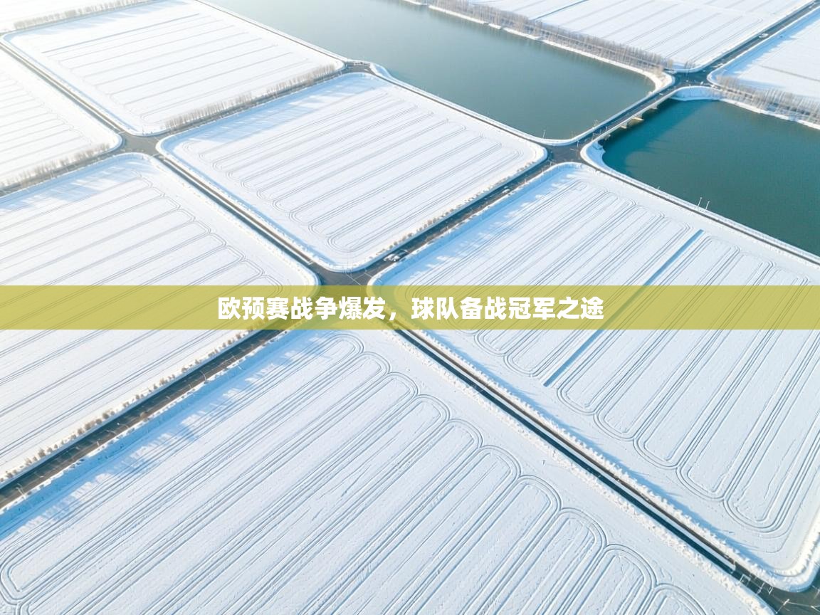 欧预赛战争爆发，球队备战冠军之途  第1张