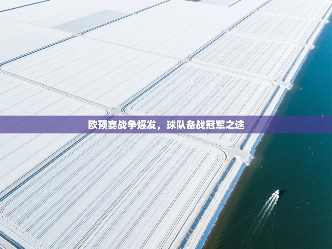 欧预赛战争爆发，球队备战冠军之途  第2张