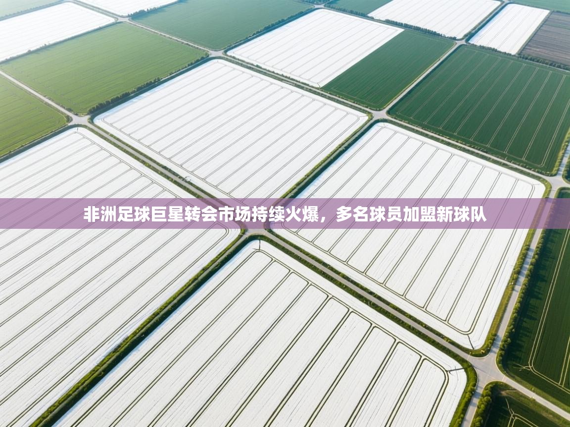 非洲足球巨星转会市场持续火爆，多名球员加盟新球队  第1张