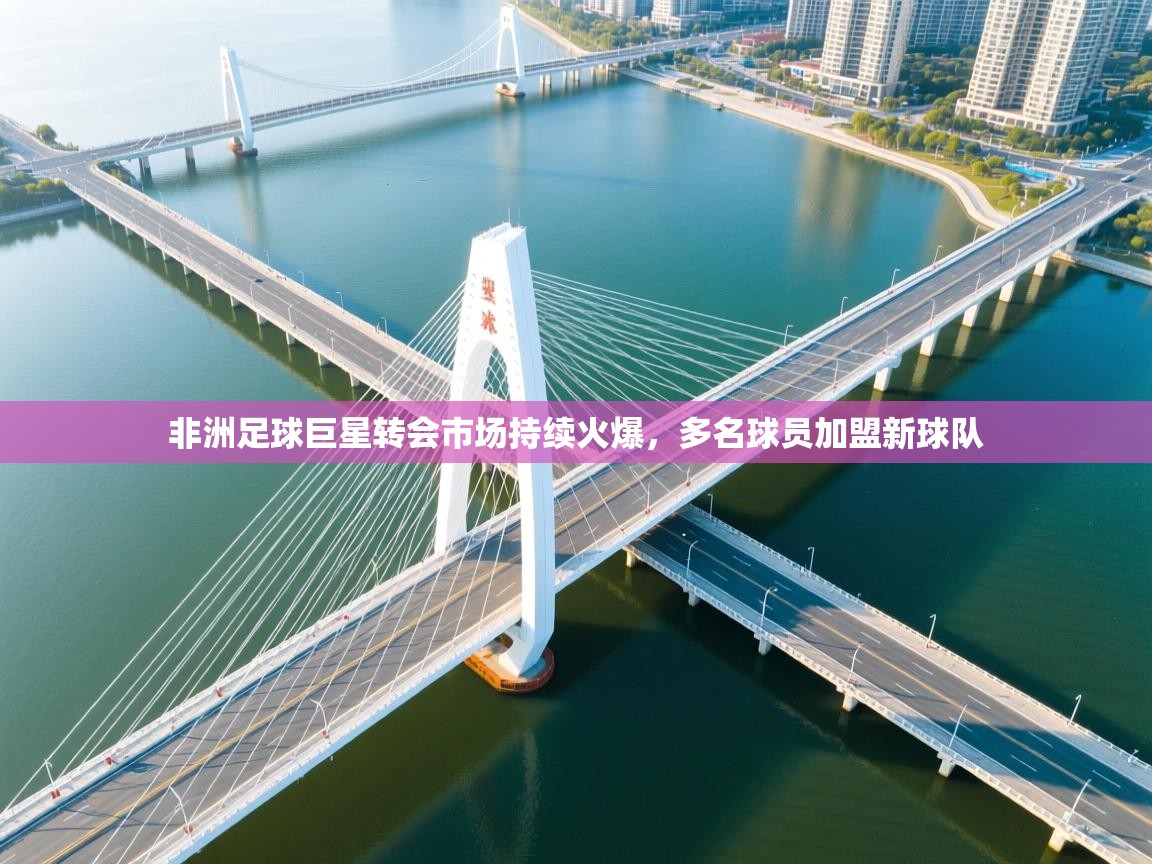 非洲足球巨星转会市场持续火爆，多名球员加盟新球队  第2张