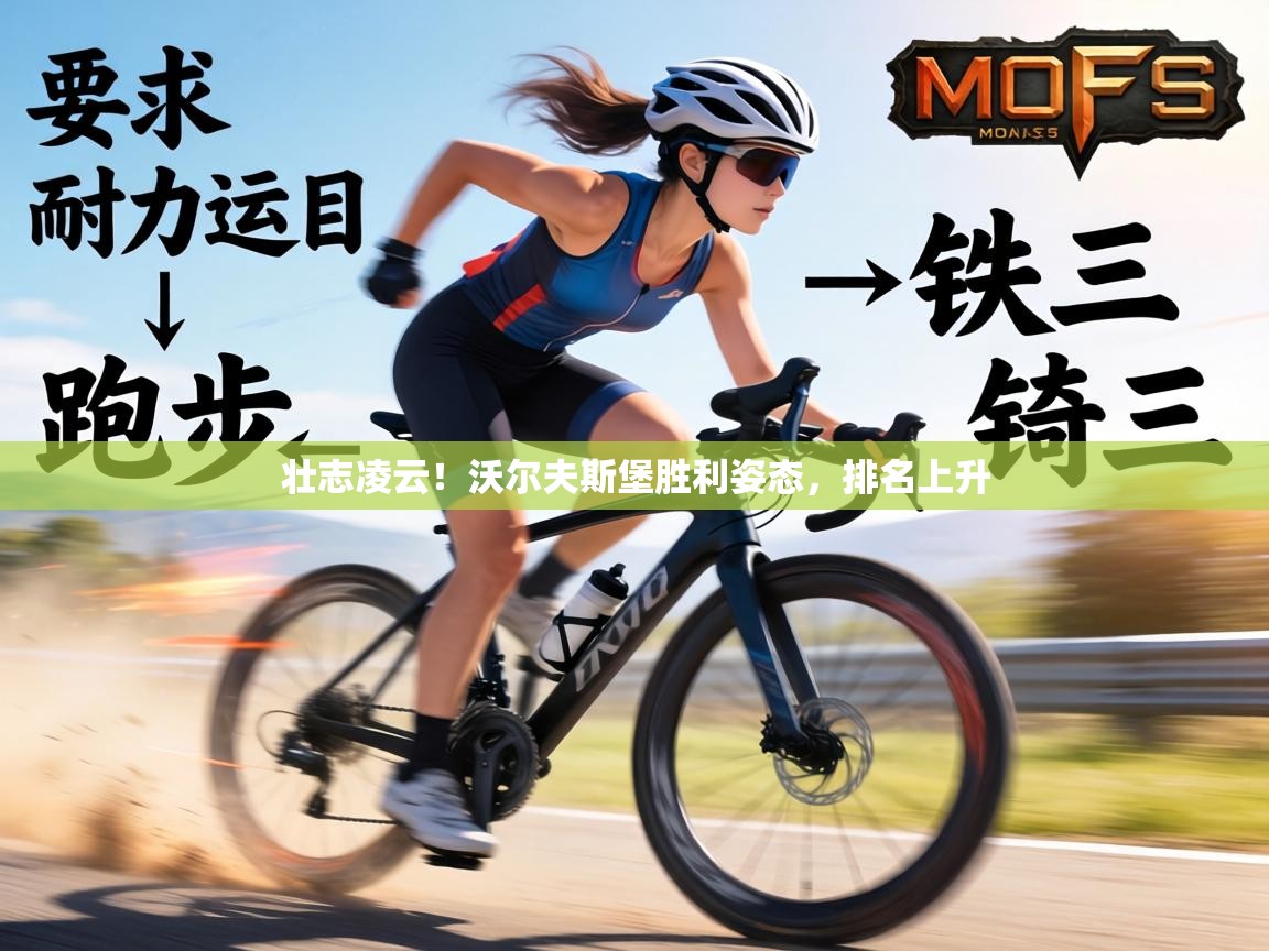 壮志凌云!沃尔夫斯堡胜利姿态,排名上升 第1张