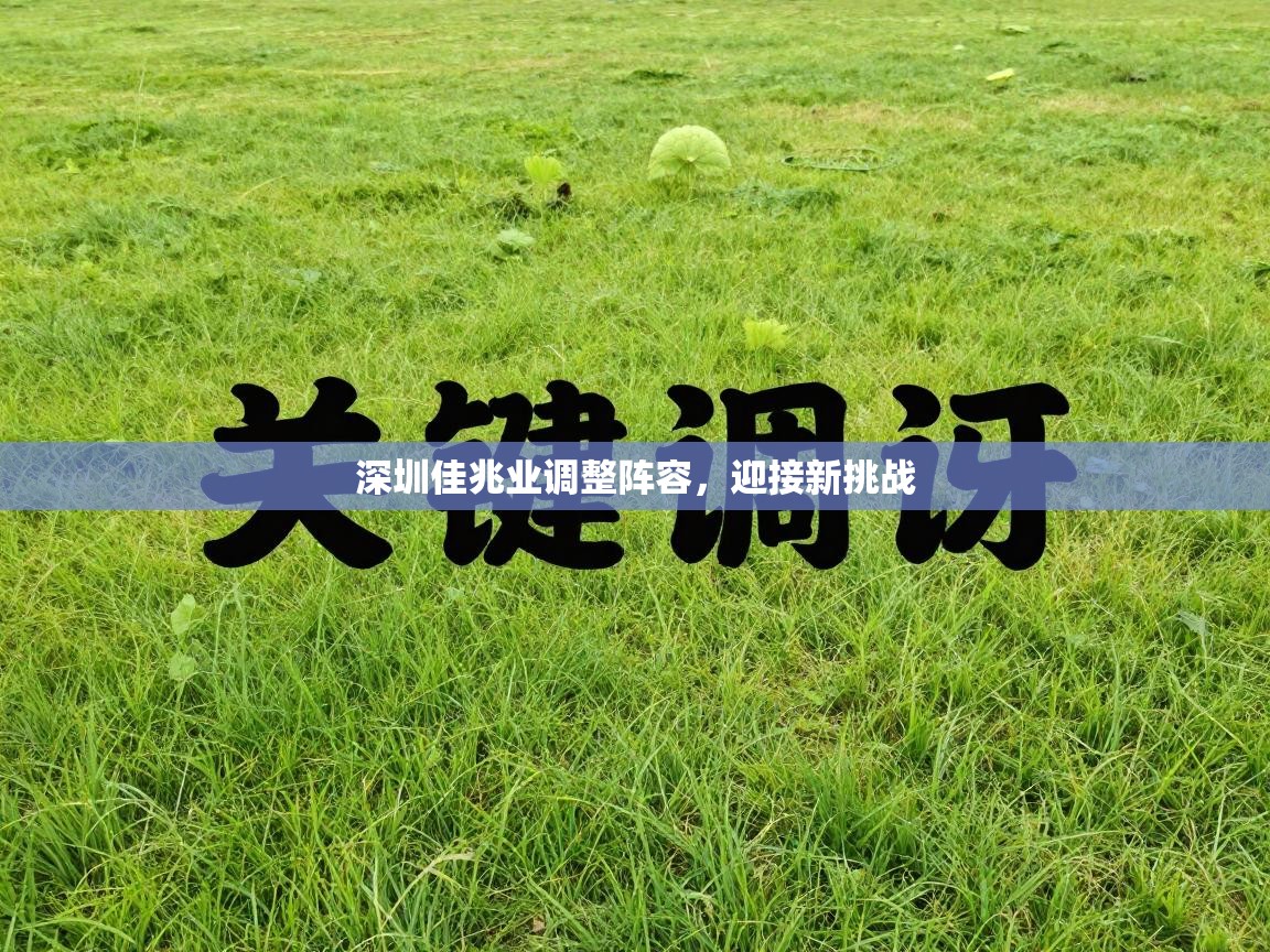 深圳佳兆业调整阵容，迎接新挑战  第2张